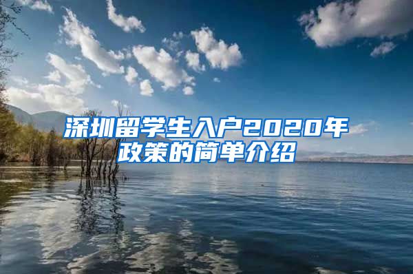 深圳留学生入户2020年政策的简单介绍