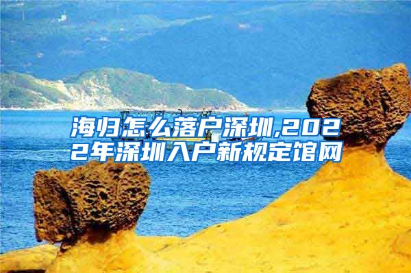 海归怎么落户深圳,2022年深圳入户新规定馆网