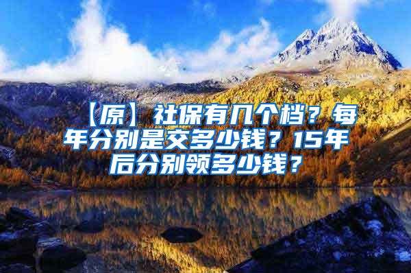 【原】社保有几个档？每年分别是交多少钱？15年后分别领多少钱？