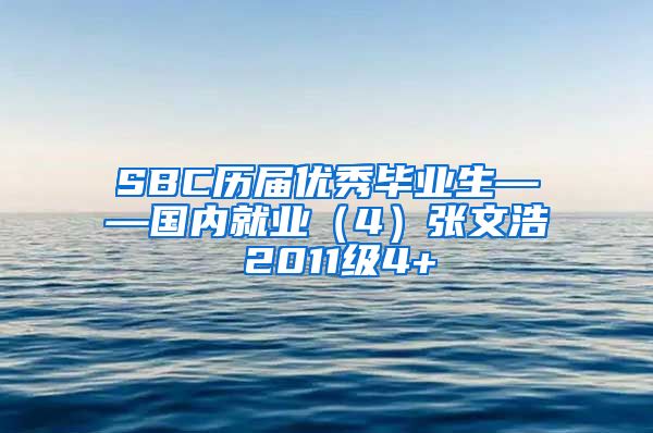 SBC历届优秀毕业生——国内就业（4）张文浩 2011级4+