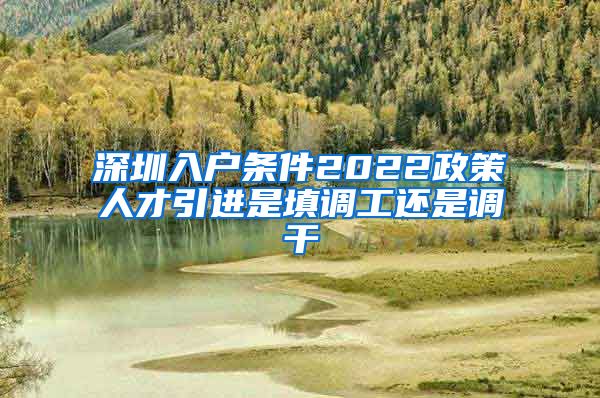 深圳入户条件2022政策人才引进是填调工还是调干