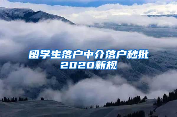 留学生落户中介落户秒批2020新规