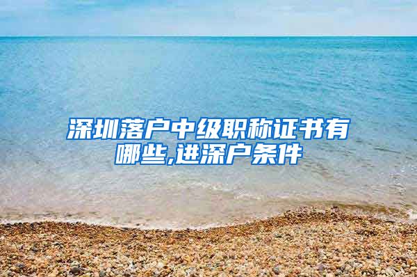 深圳落户中级职称证书有哪些,进深户条件