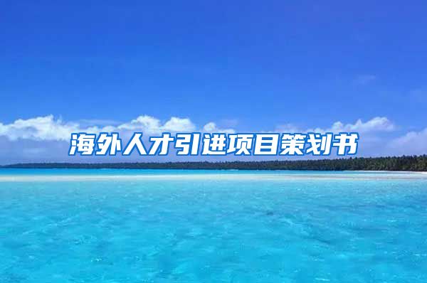 海外人才引进项目策划书