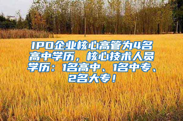 IPO企业核心高管为4名高中学历，核心技术人员学历：1名高中、1名中专、2名大专！