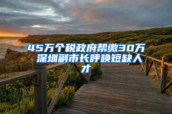 45万个税政府帮缴30万 深圳副市长呼唤短缺人才