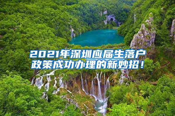 2021年深圳应届生落户政策成功办理的新妙招！