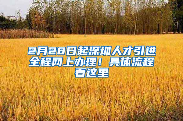 2月28日起深圳人才引进全程网上办理！具体流程看这里