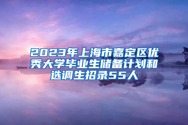 2023年上海市嘉定区优秀大学毕业生储备计划和选调生招录55人