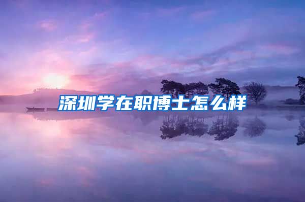 深圳学在职博士怎么样