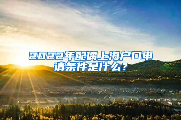 2022年配偶上海户口申请条件是什么？