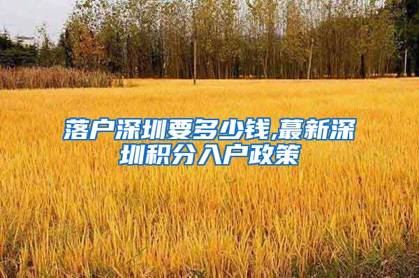 落户深圳要多少钱,蕞新深圳积分入户政策