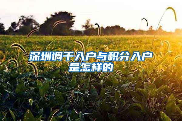 深圳调干入户与积分入户是怎样的