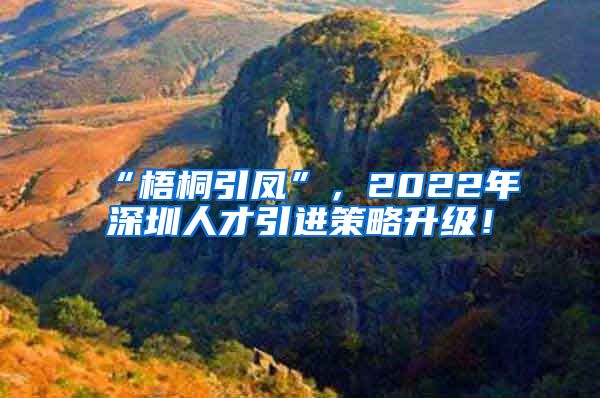 “梧桐引凤”，2022年深圳人才引进策略升级！