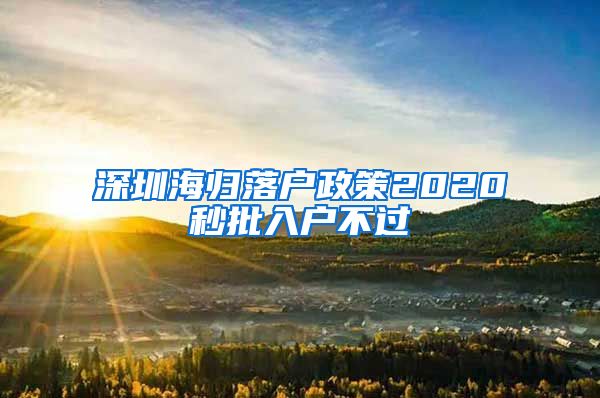 深圳海归落户政策2020秒批入户不过