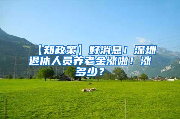 【知政策】好消息！深圳退休人员养老金涨啦！涨多少？