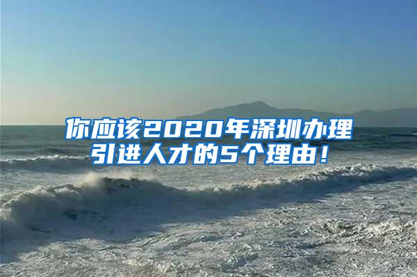 你应该2020年深圳办理引进人才的5个理由！