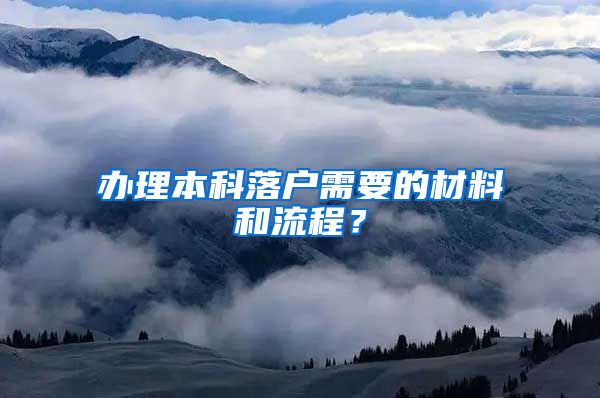 办理本科落户需要的材料和流程？