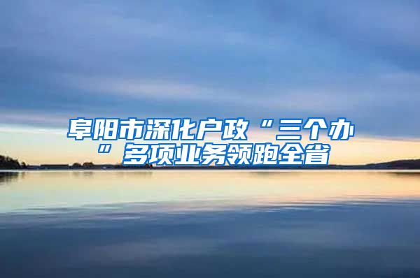 阜阳市深化户政“三个办”多项业务领跑全省