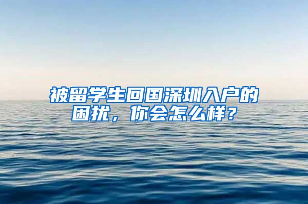 被留学生回国深圳入户的困扰，你会怎么样？