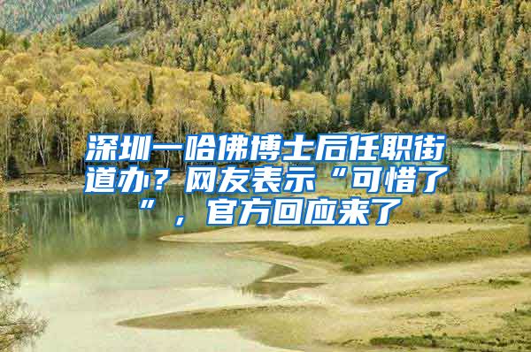 深圳一哈佛博士后任职街道办？网友表示“可惜了”，官方回应来了