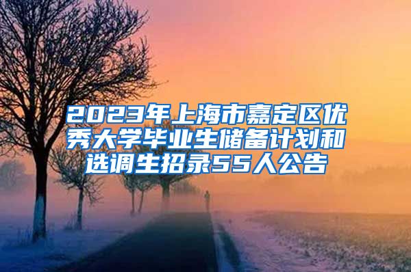 2023年上海市嘉定区优秀大学毕业生储备计划和选调生招录55人公告