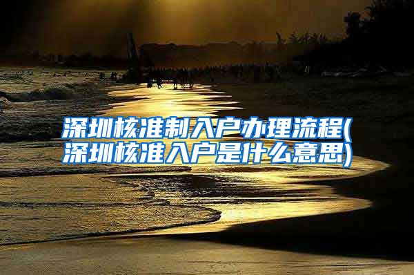 深圳核准制入户办理流程(深圳核准入户是什么意思)