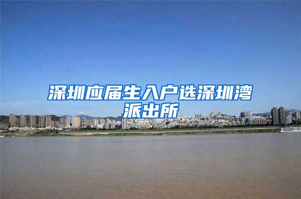 深圳应届生入户选深圳湾派出所