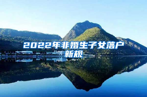 2022年非婚生子女落户新规