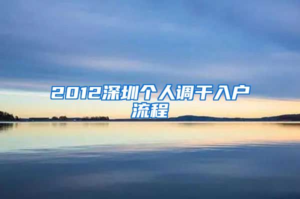 2012深圳个人调干入户流程