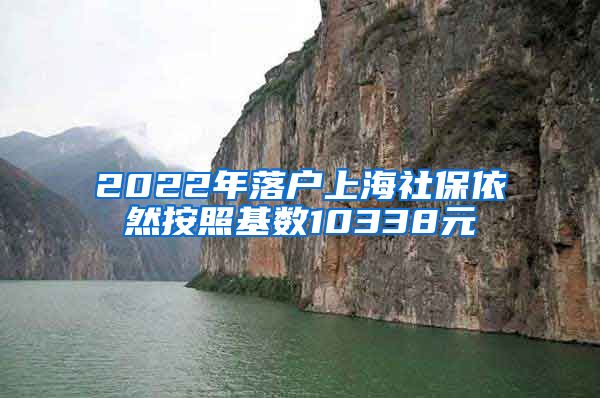 2022年落户上海社保依然按照基数10338元