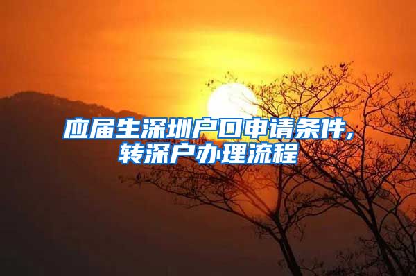 应届生深圳户口申请条件,转深户办理流程