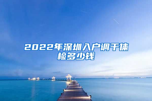 2022年深圳入户调干体检多少钱