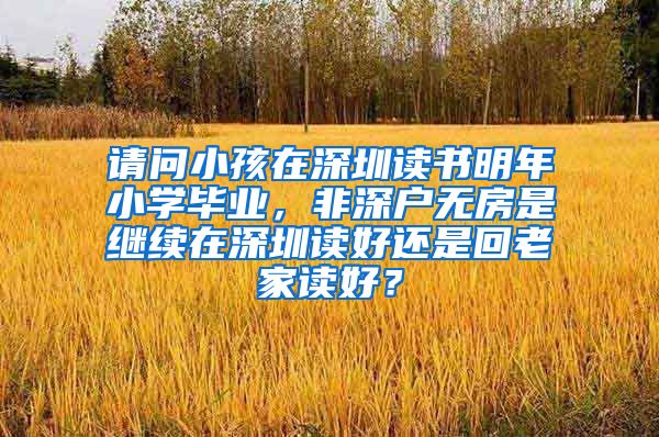 请问小孩在深圳读书明年小学毕业，非深户无房是继续在深圳读好还是回老家读好？