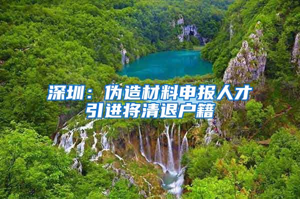 深圳：伪造材料申报人才引进将清退户籍