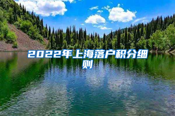 2022年上海落户积分细则