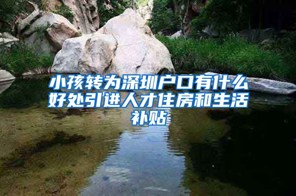 小孩转为深圳户口有什么好处引进人才住房和生活补贴