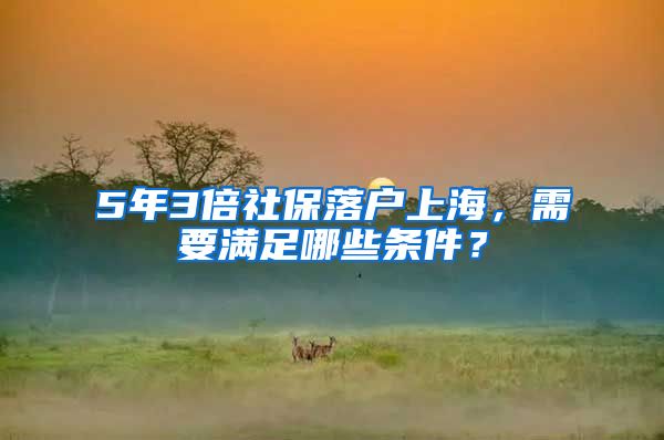 5年3倍社保落户上海，需要满足哪些条件？