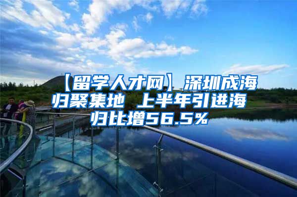 【留学人才网】深圳成海归聚集地 上半年引进海归比增56.5%