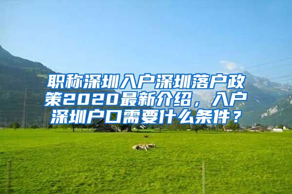 职称深圳入户深圳落户政策2020最新介绍，入户深圳户口需要什么条件？