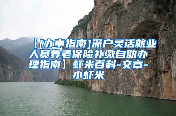 【[办事指南]深户灵活就业人员养老保险补缴自助办理指南】虾米百科-文章-小虾米