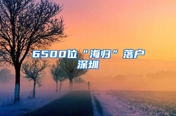 6500位“海归”落户深圳