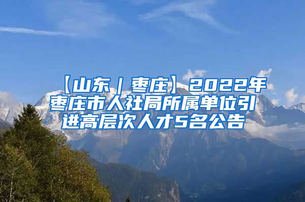 【山东｜枣庄】2022年枣庄市人社局所属单位引进高层次人才5名公告