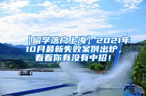 【留学落户上海】2021年10月最新失败案例出炉，看看你有没有中招！