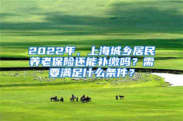 2022年，上海城乡居民养老保险还能补缴吗？需要满足什么条件？