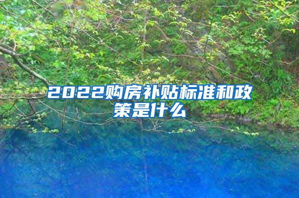 2022购房补贴标准和政策是什么