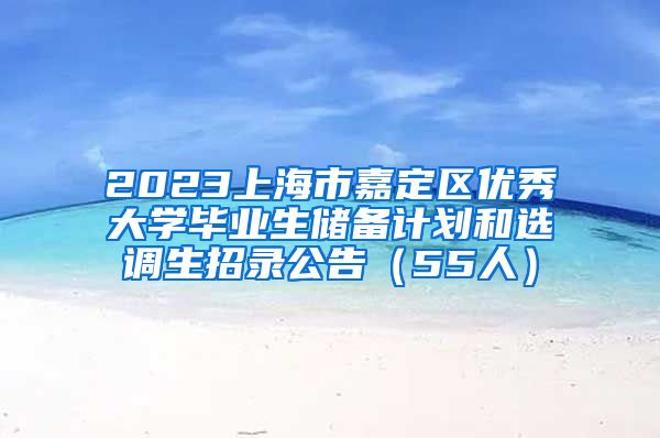 2023上海市嘉定区优秀大学毕业生储备计划和选调生招录公告（55人）