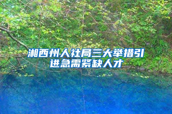 湘西州人社局三大举措引进急需紧缺人才