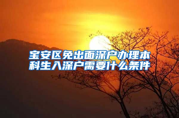 宝安区免出面深户办理本科生入深户需要什么条件