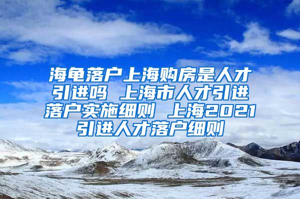 海龟落户上海购房是人才引进吗 上海市人才引进落户实施细则 上海2021引进人才落户细则